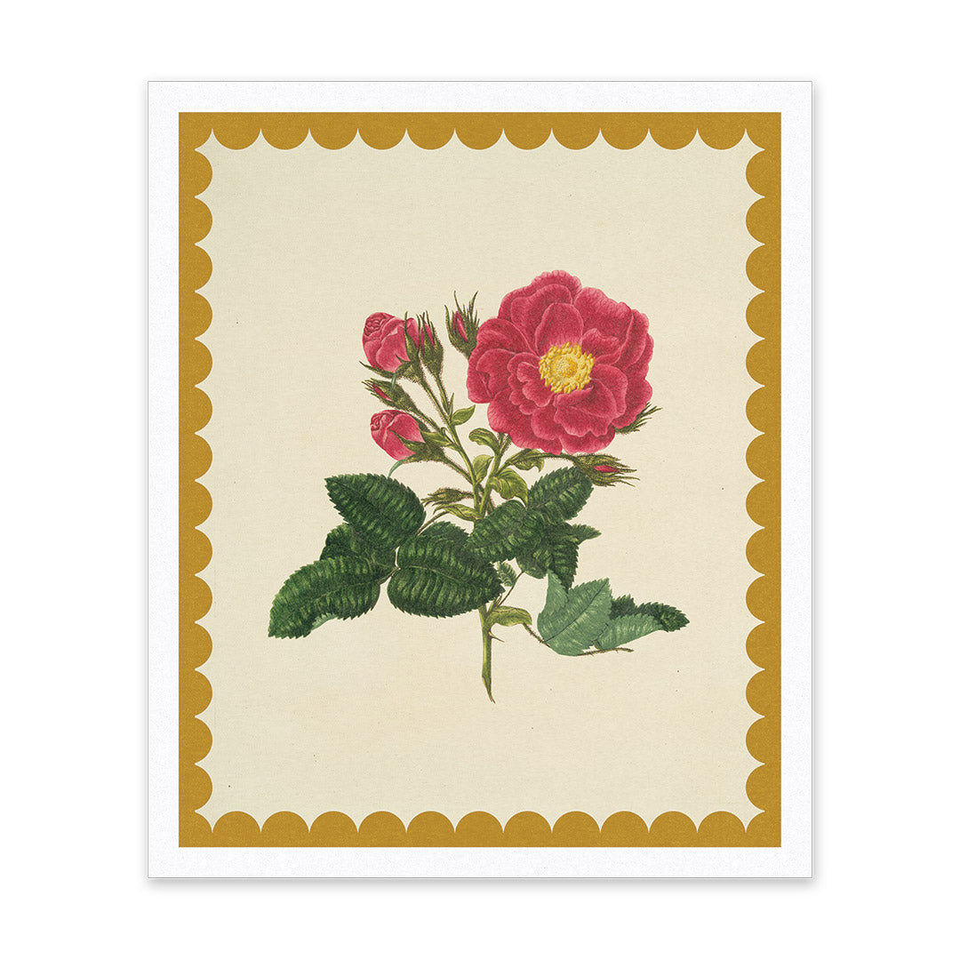 Drift Rose Riso Print (10x12) (12208)
