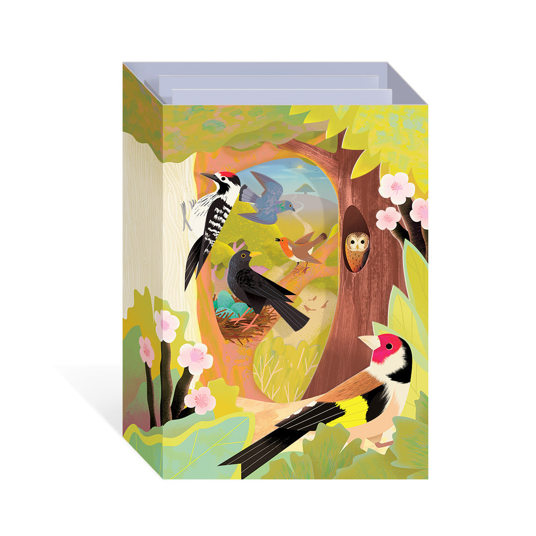 UK Birds Pop Up Greeting Card (12107)