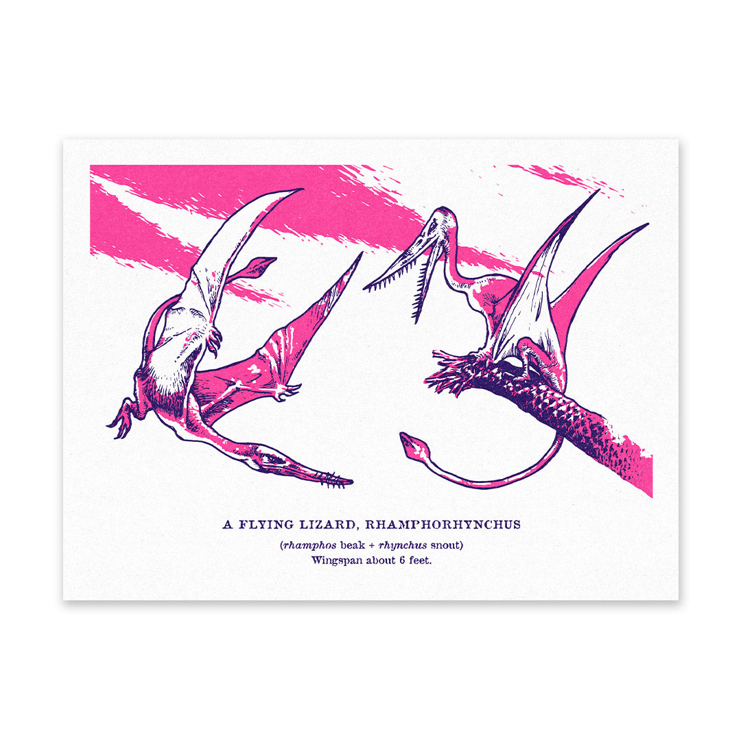 Rhamphorhynchus Riso Print (6x8) (12526)