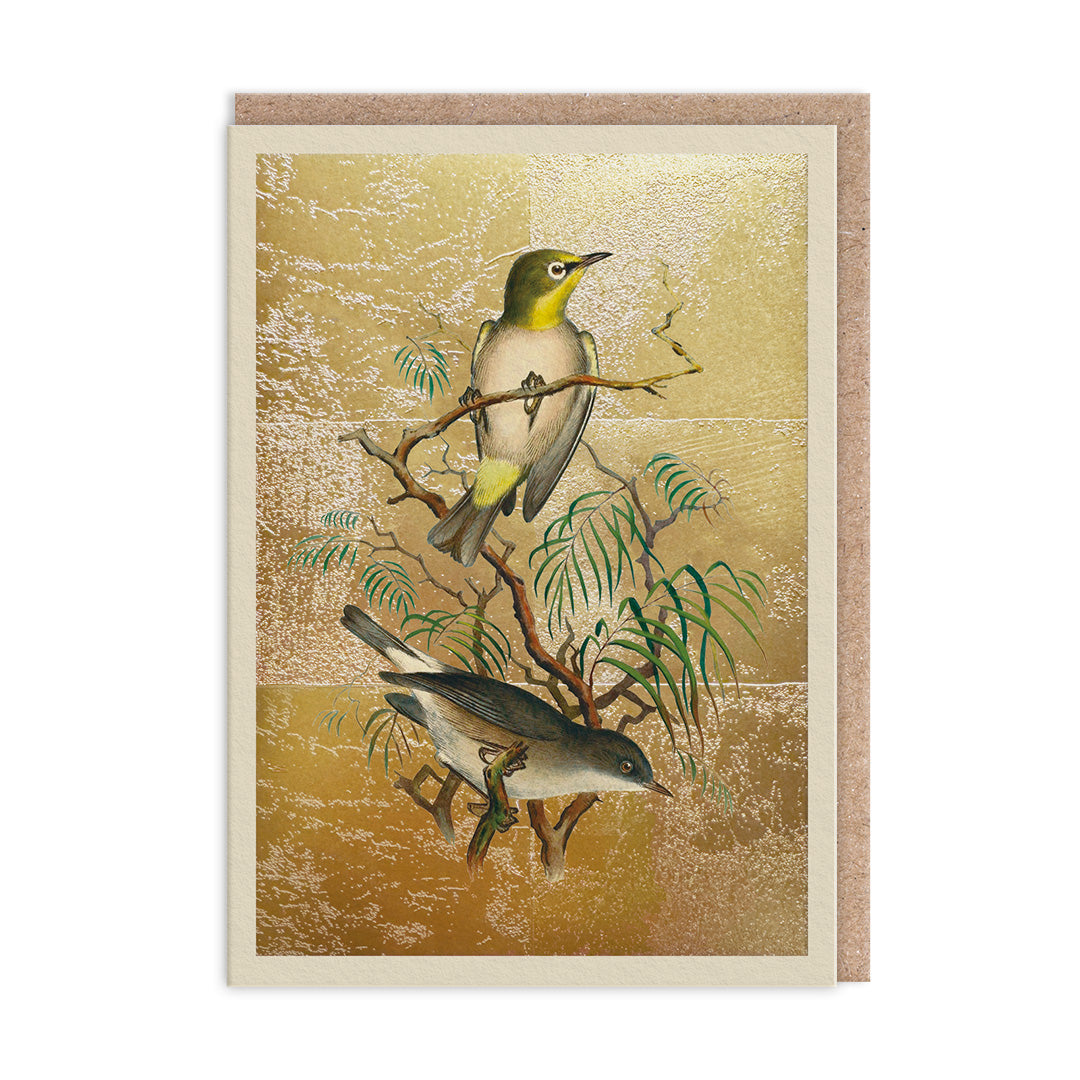 Heuglin's White-Eye Greeting Card (12007)