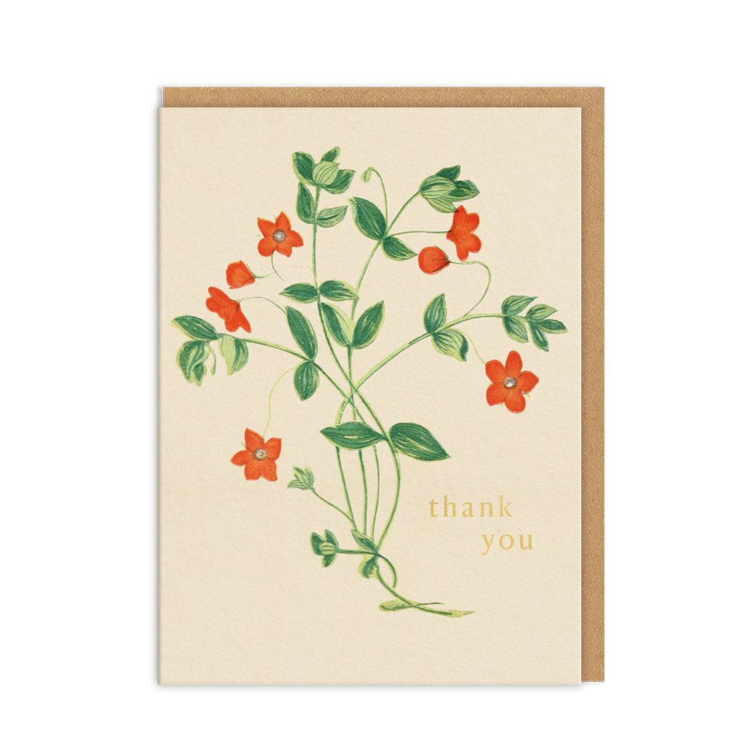 Among The Flowers Mini Greeting Card (Pack of 6) (14230)