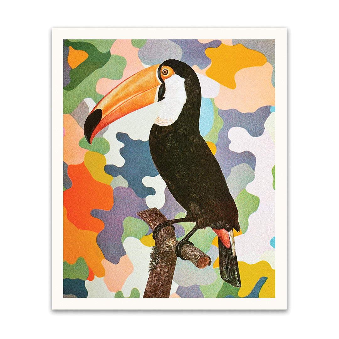 Toucan Riso Print (10x12) (12177)