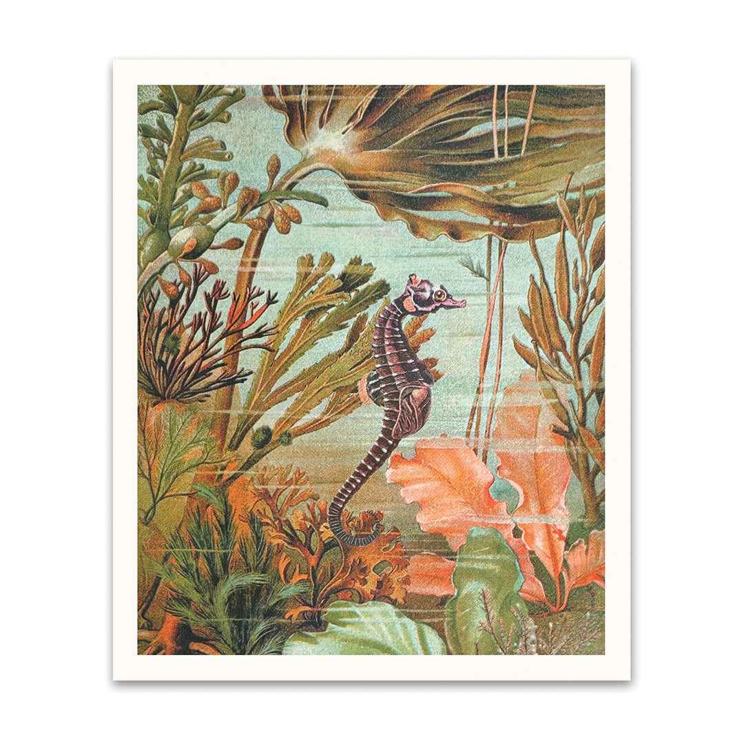 Seahorse Riso Print (10x12) (12197)