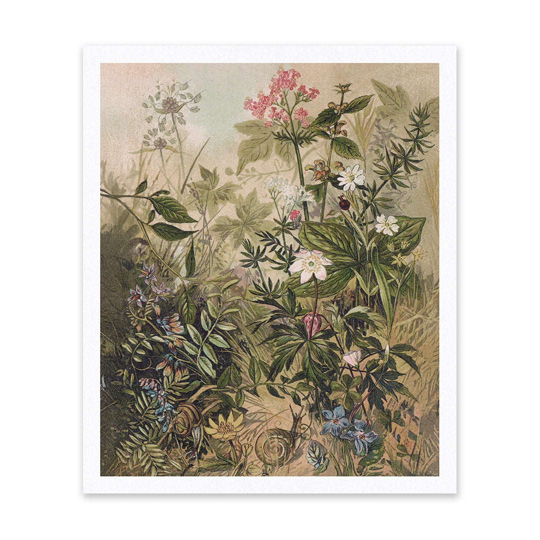 Wild Flowers Riso Print (10x12) (12198)