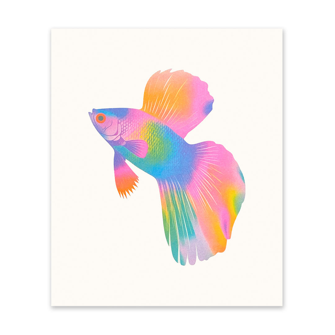 Guppy Riso Print (12x10)(10972)