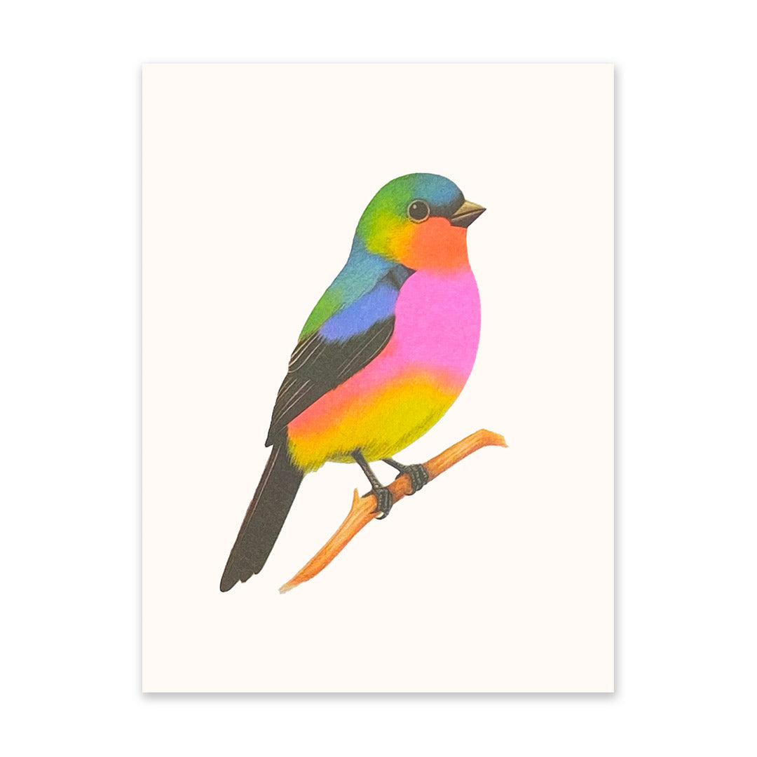Neon Bird on a Branch Riso Print (6x8) (10925)