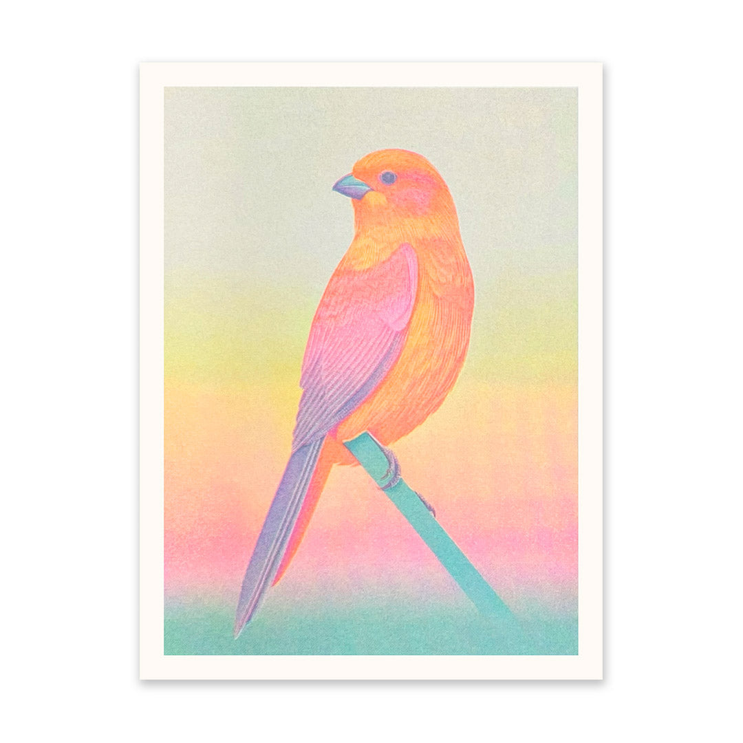 Neon Ombre Bird Riso Print (6x8) (10930)