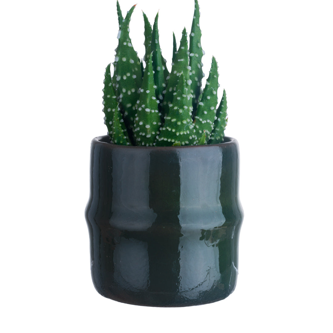 Green Bamboo Shaped Mini Plant Pot