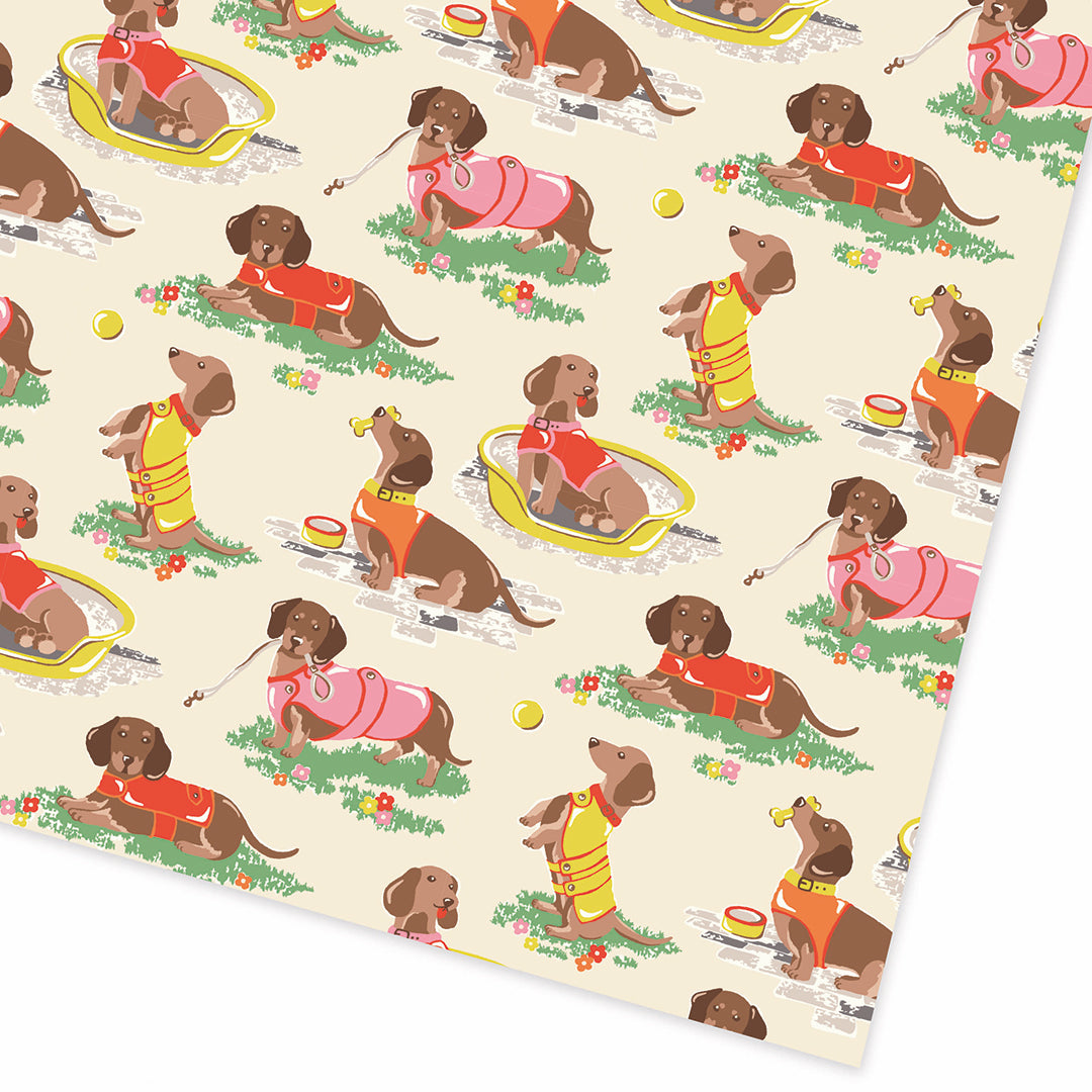 Sausage Dog Flat Giftwrap