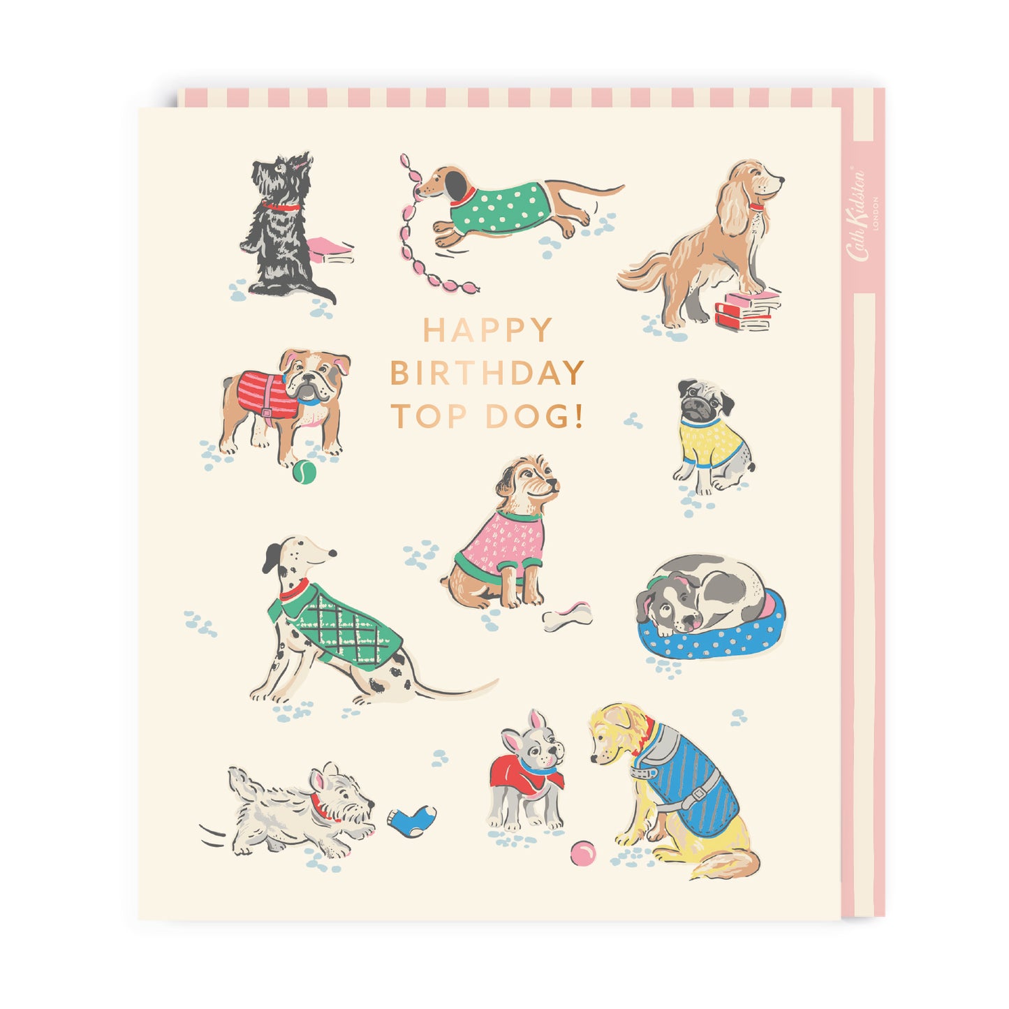 Cath Kidston Top Dog Large Birthday Greeting Card