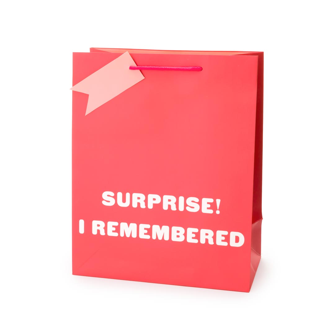 Surprise I Remembered Large Giftbag