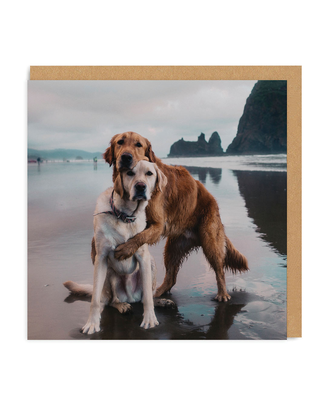 Beach Dogs Hug Square Greeting Card
