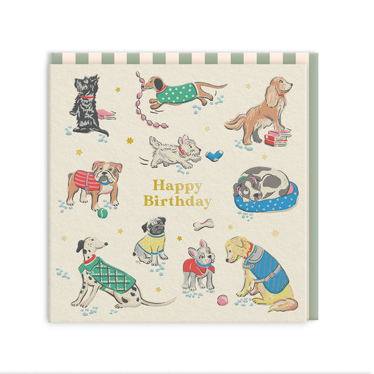 Dogs Mini Square Greeting Card (14268)