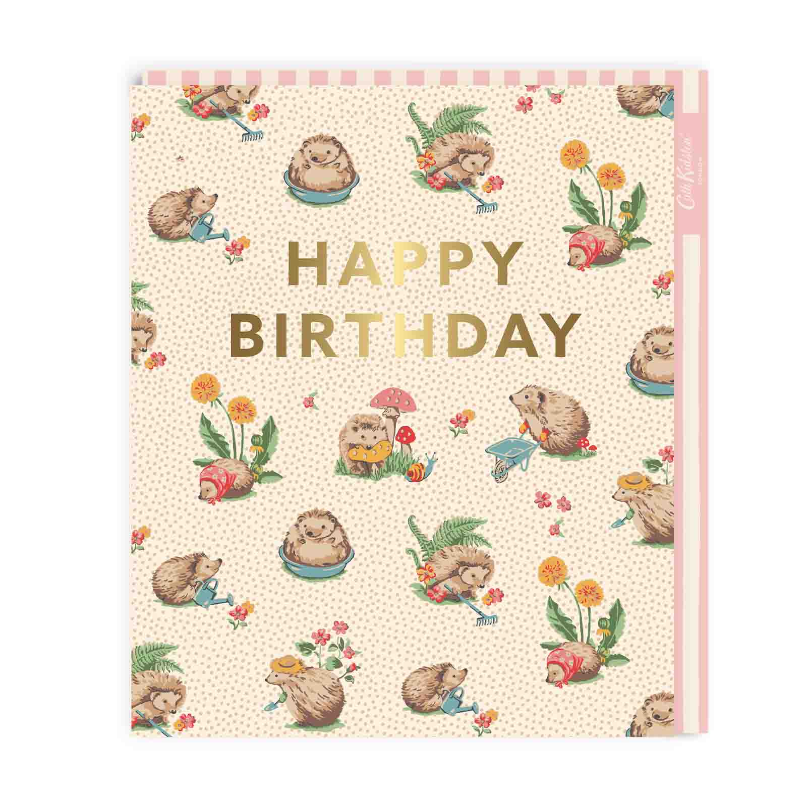 Birthday card with a cute hedgehogs illustration and gold foil lettering that reads Happy Birthday