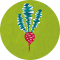 Hui Skipp Logo