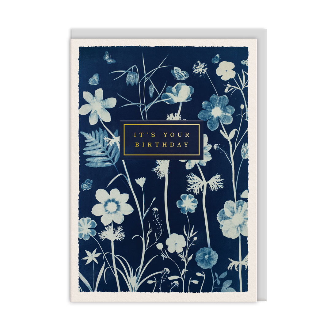 Make a Wish Anenomes Greeting Card (13437)