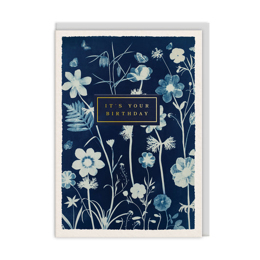 Make a Wish Anenomes Greeting Card (13437)