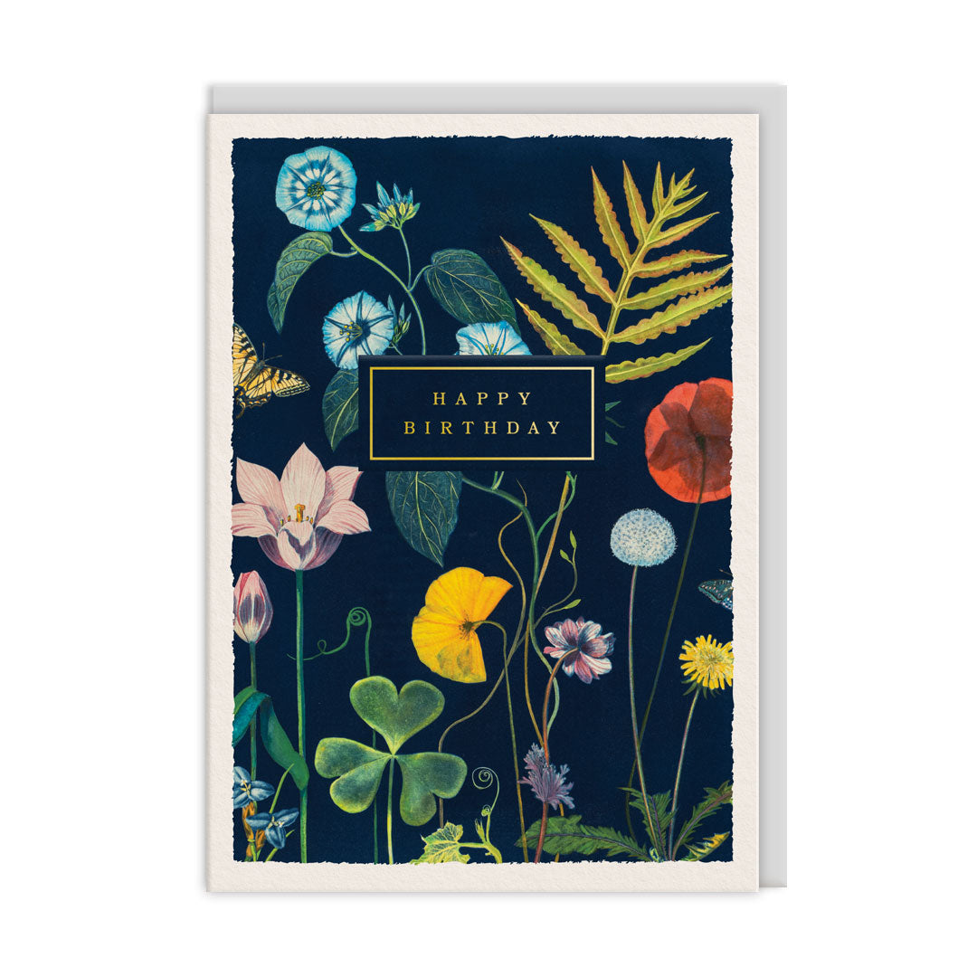 Birthday Poppies Greeting Card (13441)