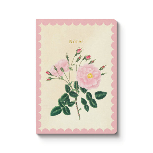 Rose Damascena Premium Paperback Notebook (A5) (12903)
