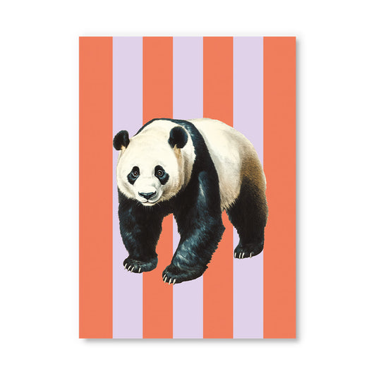 Striped Panda Postcard (12330)