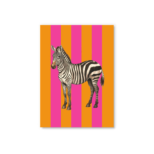 Striped Zebra Postcard (12335)