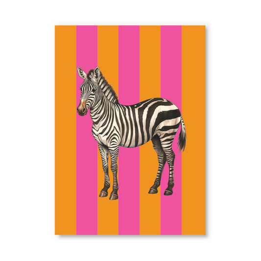 Striped Zebra Postcard (12335)