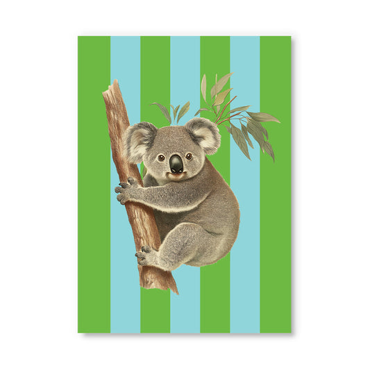 Striped Koala Postcard (12338)