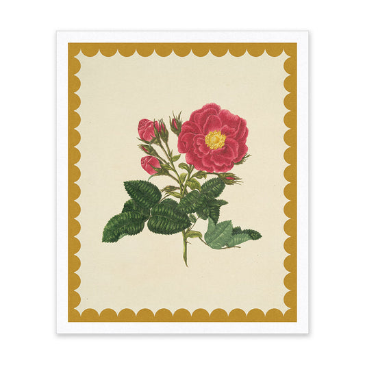 Drift Rose Riso Print (10x12)  (12208)