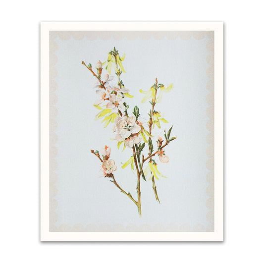 Spring Blossom Riso Print (10x12) (12209)