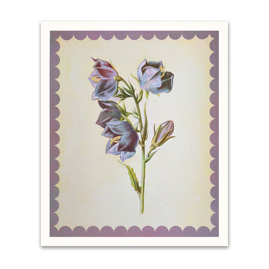 Giant Bell Flower Riso Print (12x10)(12464)