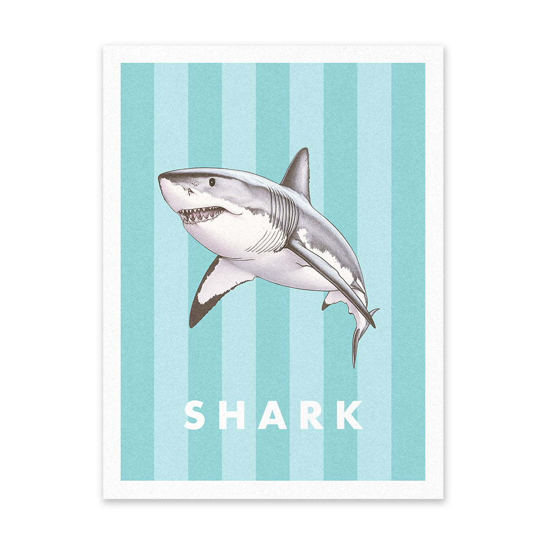 Striped Shark Riso Print (8x6)(12319)