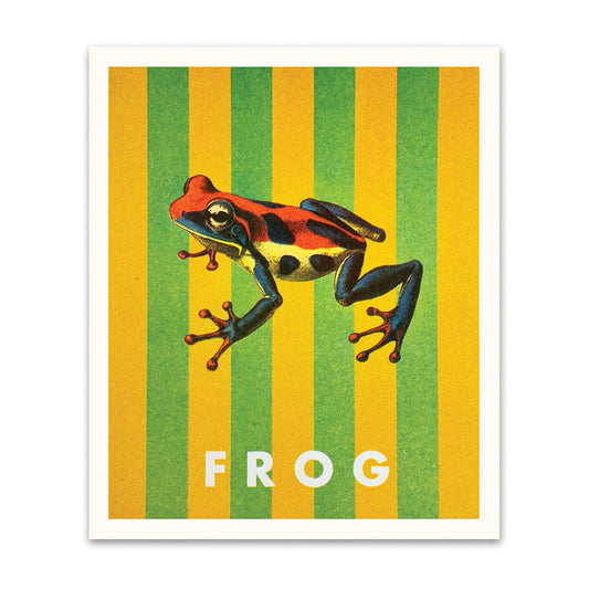 Striped Frog Riso Print (8x6)(12320)