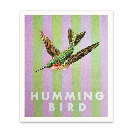 Striped Hummingbird Riso Print (8x6)(12323)