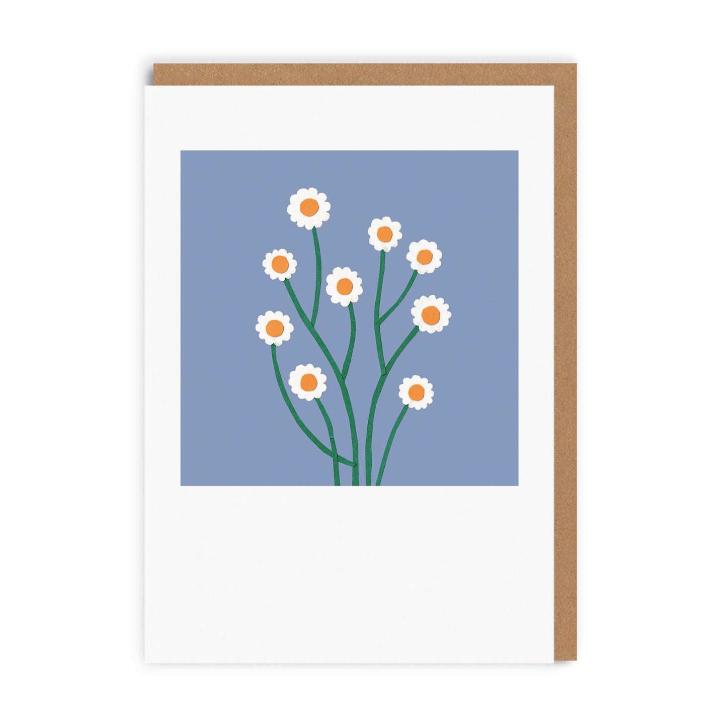 Daisies Greeting Card (7456)