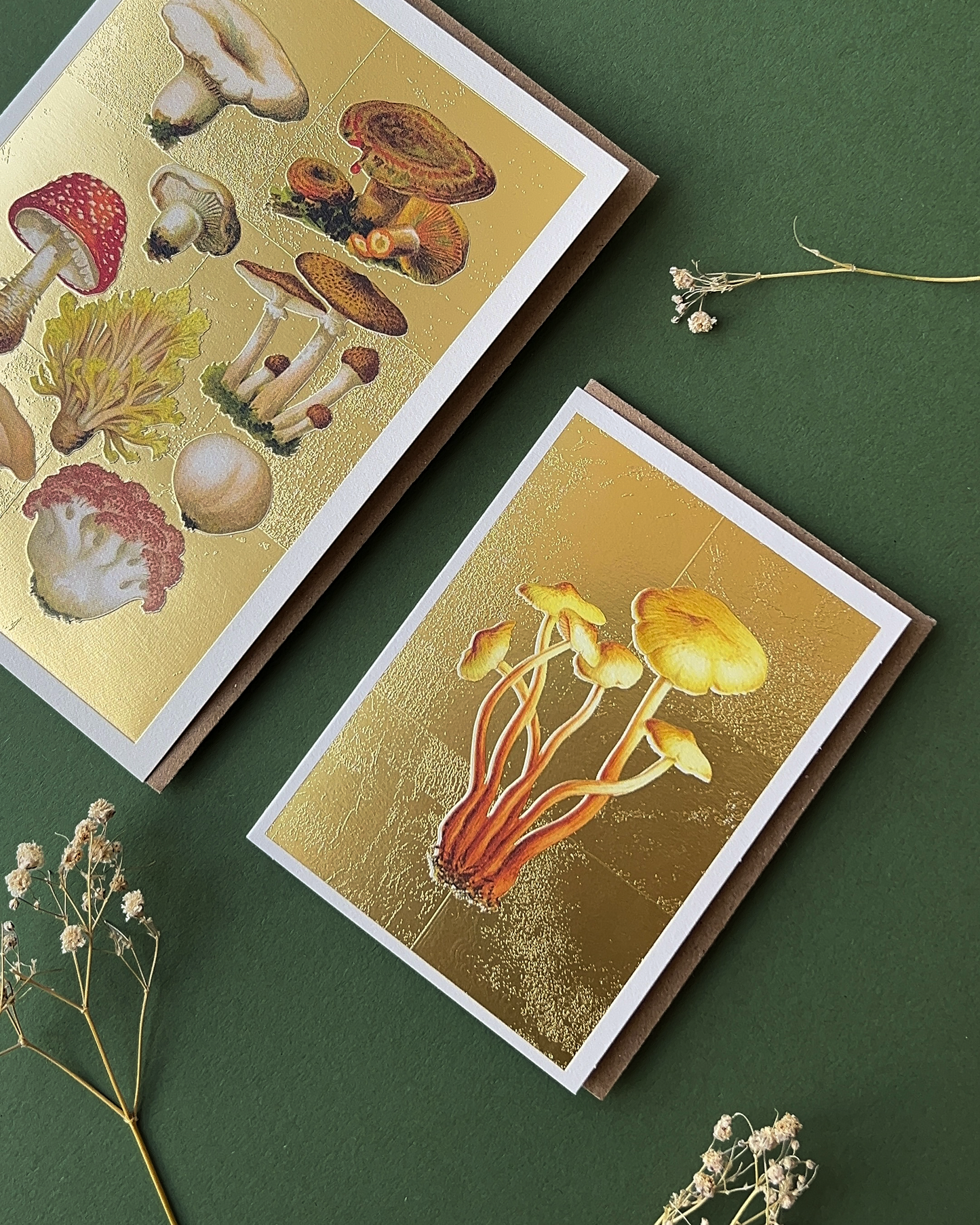 Fungi Mini Greeting Card (14371)