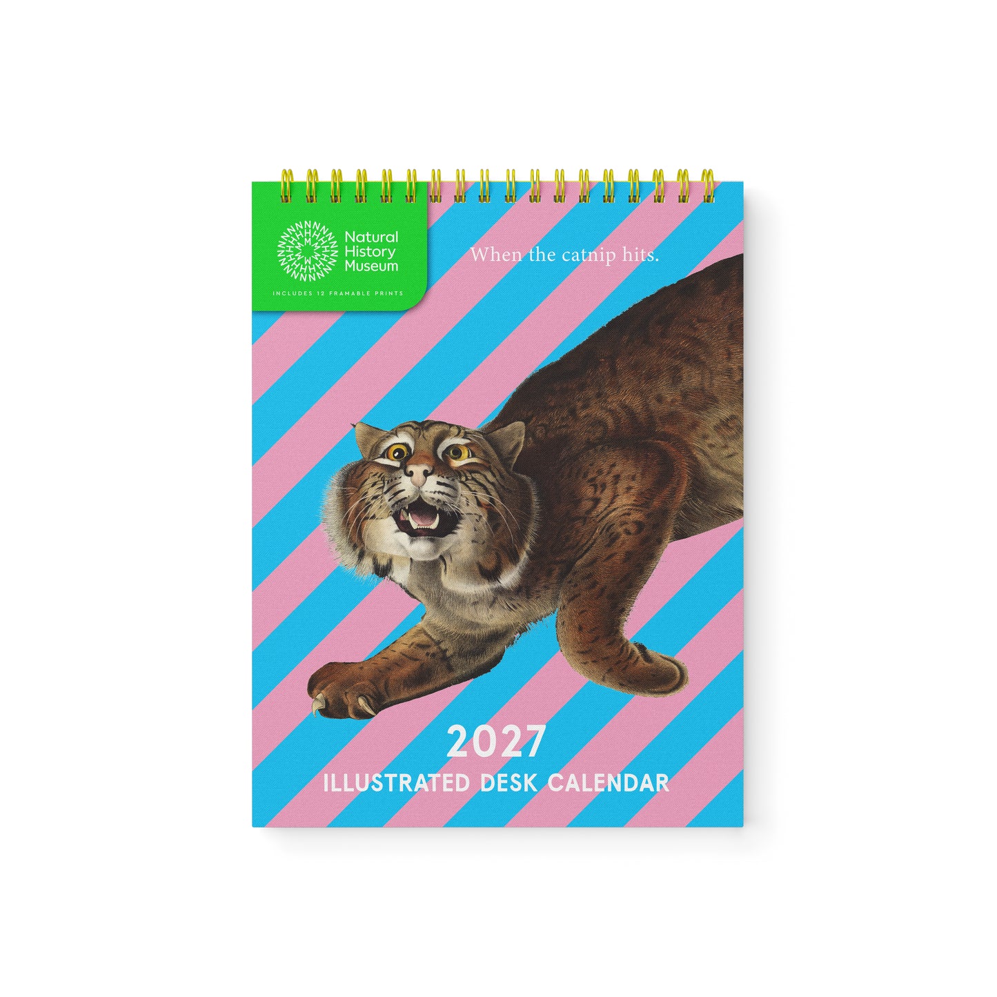 Natural History Museum Desk Calendar (13736)