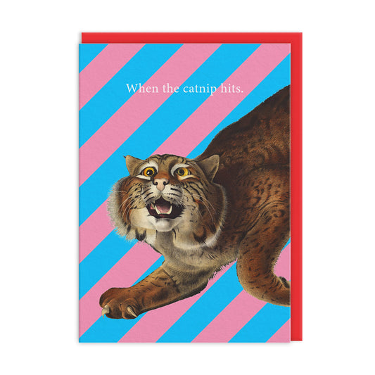 Catnip Hits Greeting Card (12238)