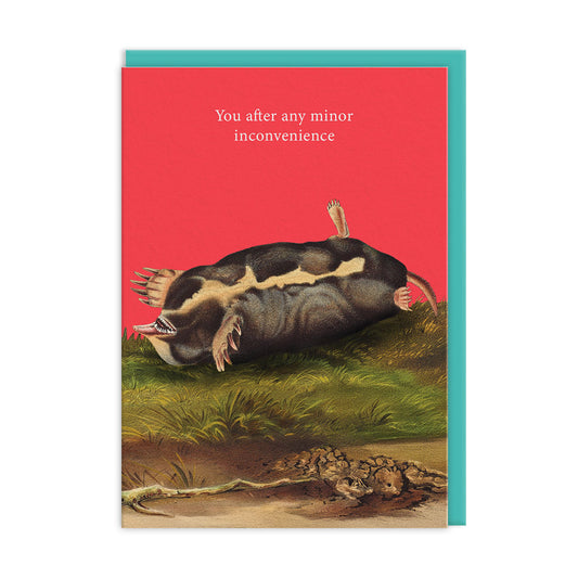 Minor Inconvenience Greeting Card (14333)