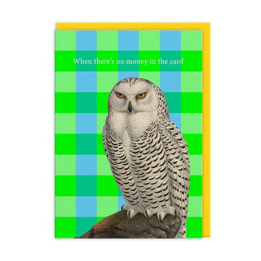 No Money Greeting Card (14334)