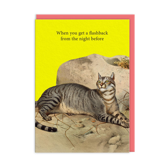 Flashbacks Greeting Card (14336)