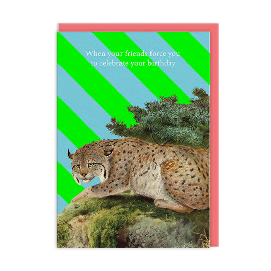 Grumpy Cat Greeting Card (14337)
