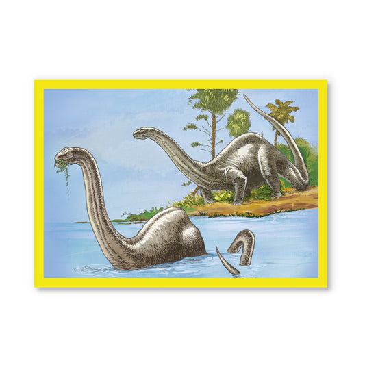 Brontosaurus Postcard (12344)