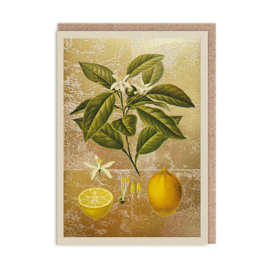 Lemons Greeting Card (11986)