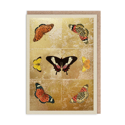 Butterfly Symmetry Greeting Card (11987)