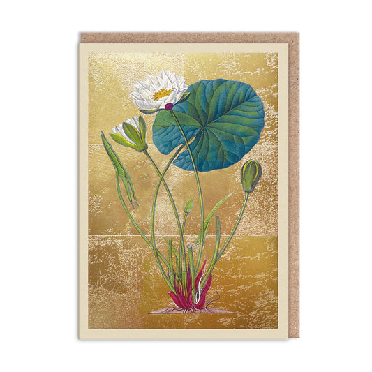 Pond Lily Greeting Card (11995)