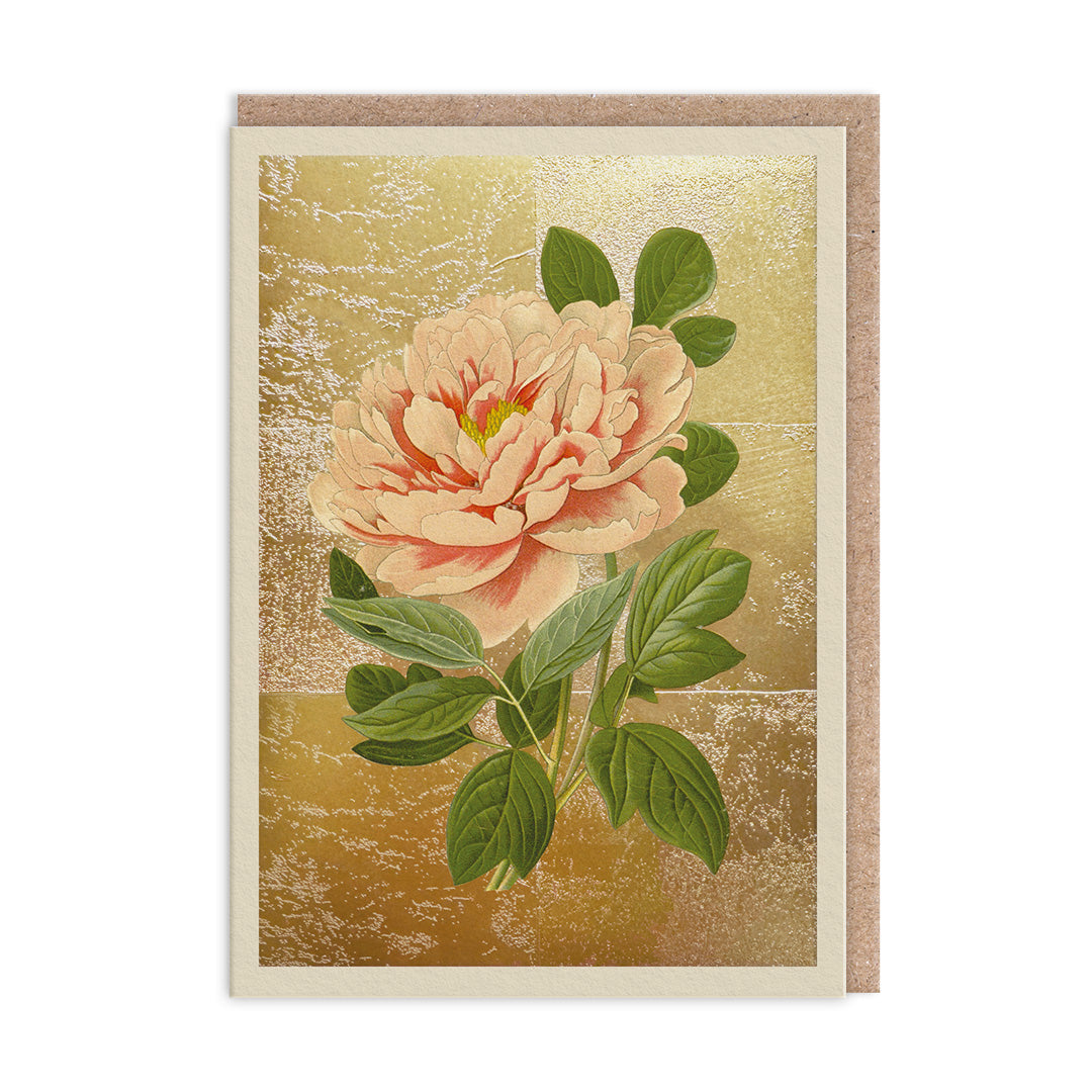 Tree Peony Greeting Card (11996)