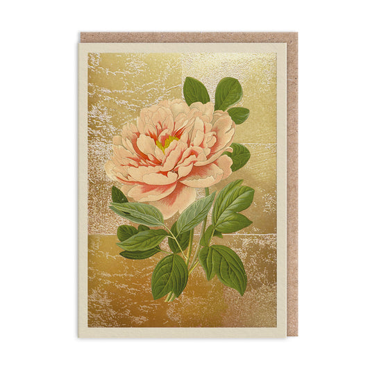 Tree Peony Greeting Card (11996)