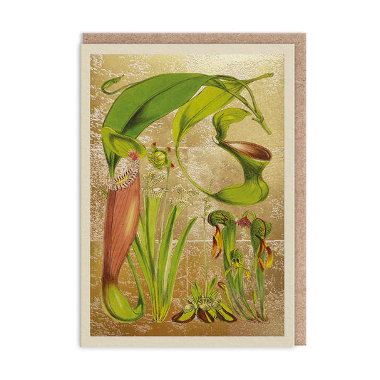 Pitcher Plants Greeting Card (11998)