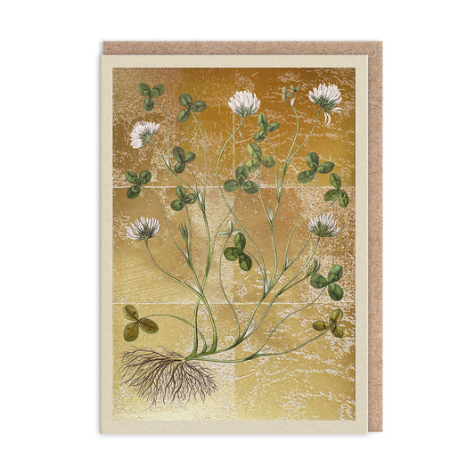 Clover Greeting Card (13319)
