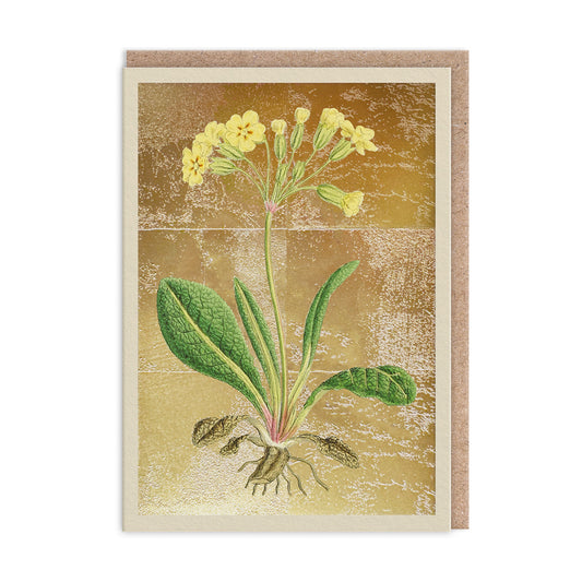 Cowslip Greeting Card (13320)